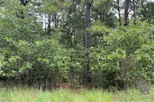 Lot 47 Kamakoa Ln, Bastrop, TX 78602 - Photo 1