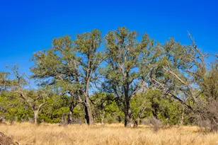 4772-1 County Road 340, Burnet, TX 76905 - Photo 6