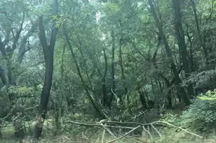 4202 Kings Ct, Austin, TX 78725 - Photo 1