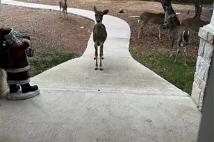 13326 Trautwein Rd, Austin, TX 78737 - Photo 38