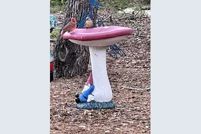 13326 Trautwein Road, Austin, TX 78737 - Photo 32