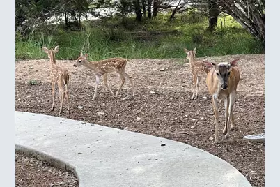 13326 Trautwein Road, Austin, TX 78737 - Photo 34