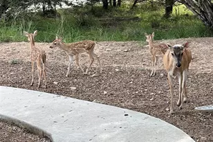 13326 Trautwein Rd, Austin, TX 78737 - Photo 34