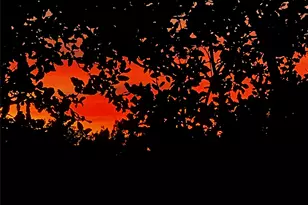 13326 Trautwein Rd, Austin, TX 78737 - Photo 32