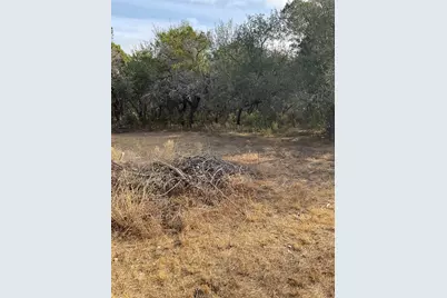 17308 W 1st Street, Leander, TX 78641 - Photo 4