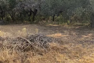 17308 W 1st St, Leander, TX 78641 - Photo 4