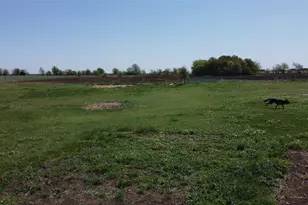 240 County Rd 344, Jarrell, TX 76537 - Photo 12