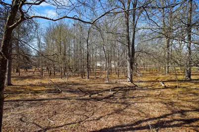 338 W Keanahalululu Lane, Bastrop, TX 78602 - Photo 34