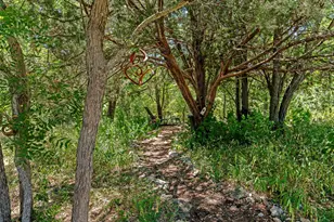 145 Stetson Trail, Georgetown, TX 78633 - Photo 6