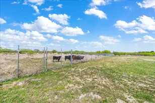 300 Co Rd 407, Spicewood, TX 78669 - Photo 30