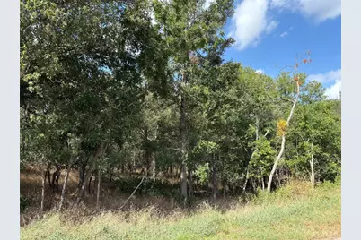 103 & 105 W Kikipua Lane, Bastrop, TX 78602 - Photo 4