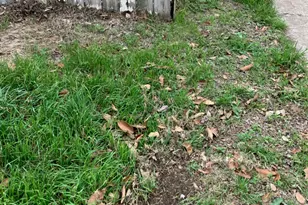 5606 1/2 Joe Sayers Ave, Austin, TX 78756 - Photo 8