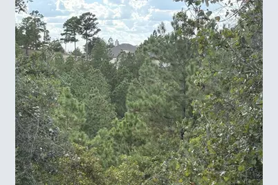 Tbd Lot 35 Pinecrest Drive, Bastrop, TX 78602 - Photo 8