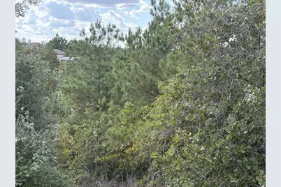 Tbd Lot 35 Pinecrest Drive, Bastrop, TX 78602 - Photo 2