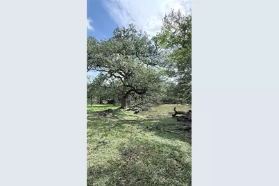 1880 Fm 2571, Smithville, TX 78957 - Photo 6