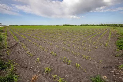 Tbd Sh 95, Taylor, TX 76574 - Photo 10
