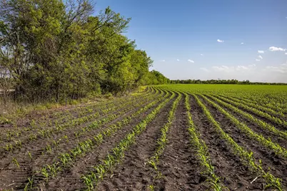 Tbd Sh 95, Taylor, TX 76574 - Photo 8