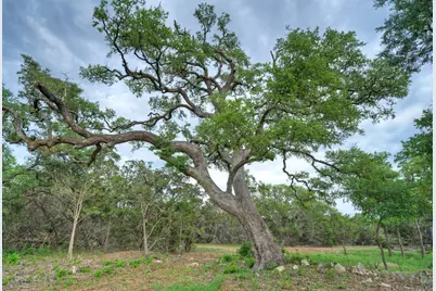 11916 Jim Bridger Drive, Austin, TX 78737 - Photo 24