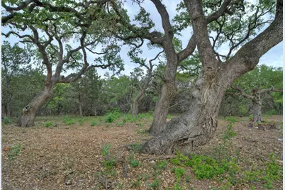 11916 Jim Bridger Drive, Austin, TX 78737 - Photo 20