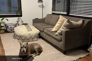 4425 Diane Dr, Austin, TX 78745 - Photo 10