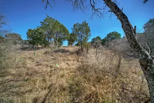 146 Eagle Basin Cir, Spicewood, TX 78669 - Photo 20