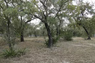 107 W Dawn Dr, Johnson City, TX 78636 - Photo 24