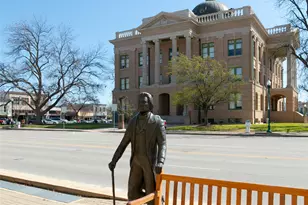 1409 White Daisy Ln, Georgetown, TX 78628 - Photo 10