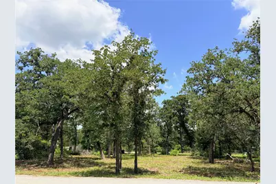 Lots-90/91 Arapaho Drive, Smithville, TX 78957 - Photo 6