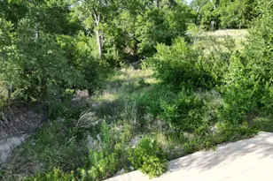 Lot 18 Serenity Dr, Bertram, TX 78605 - Photo 6