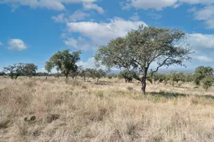 0 Whiterock, Kingsland, TX 78639 - Photo 14