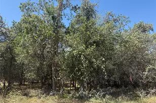 Tbd Kawainui Ln, Bastrop, TX 78602 - Photo 1