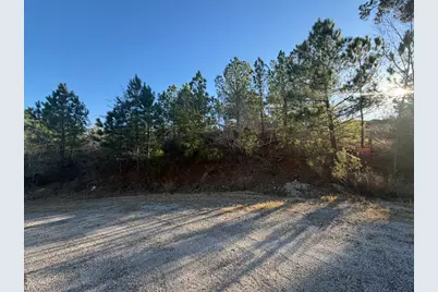 Lot 181 Keo Kea Court, Bastrop, TX 78602 - Photo 2