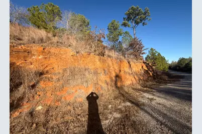 Lot 181 Keo Kea Court, Bastrop, TX 78602 - Photo 14