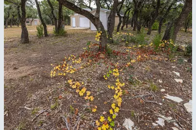 2501 Fischer Store Rd. Road, Wimberley, TX 78676 - Photo 6