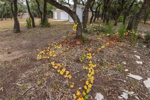 2501 Fischer Store Rd Rd, Wimberley, TX 78676 - Photo 6