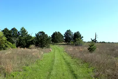Tbd Crafts Prairie Road, Bastrop, TX 78602 - Photo 34