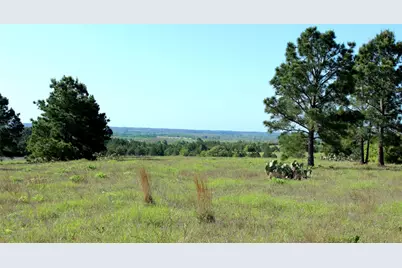 Tbd Crafts Prairie Road, Bastrop, TX 78602 - Photo 28