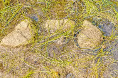 0 Stagecoach Ranch Loop, Dripping Springs, TX 78620 - Photo 22