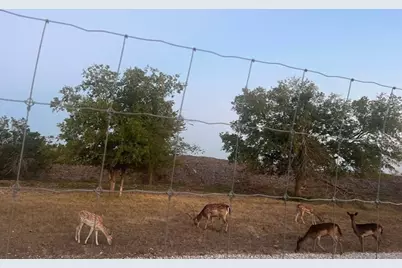 11305 Sentinel Drive, Austin, TX 78747 - Photo 6