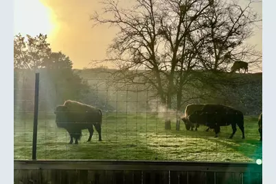 11305 Sentinel Drive, Austin, TX 78747 - Photo 4