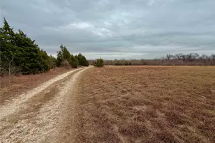 333 Spring Valley St, Hutto, TX 78634 - Photo 32