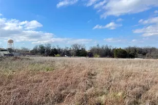 333 Spring Valley St, Hutto, TX 78634 - Photo 14