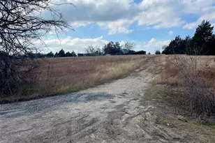 333 Spring Valley St, Hutto, TX 78634 - Photo 16