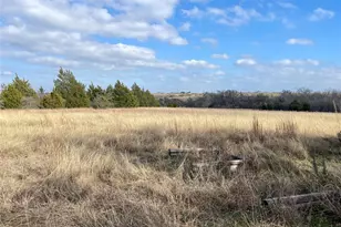 333 Spring Valley St, Hutto, TX 78634 - Photo 8