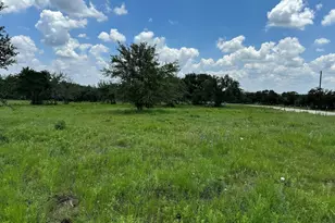 Tract 10B-3 Miller Creek, Briggs, TX 78608 - Photo 4