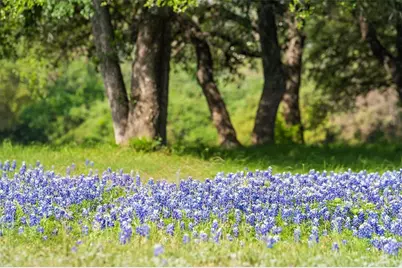 27132 Founders Place, Spicewood, TX 78669 - Photo 12