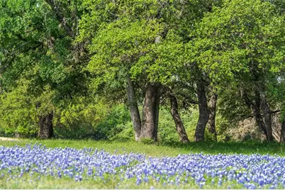 27132 Founders Place, Spicewood, TX 78669 - Photo 12