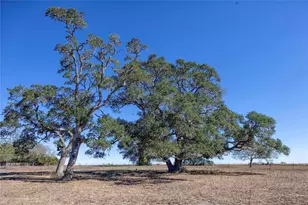3550 Co Rd 387, Hallettsville, TX 77964 - Photo 8