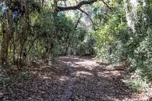 3550 Co Rd 387, Hallettsville, TX 77964 - Photo 4