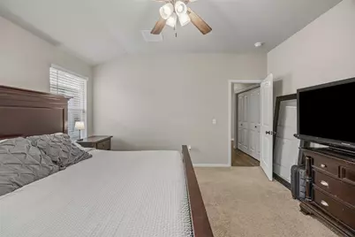 316 Cassandra Drive, Hutto, TX 78634 - Photo 16